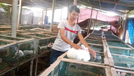 Phạm Văn Thưởng với trại nuôi thỏ của mình